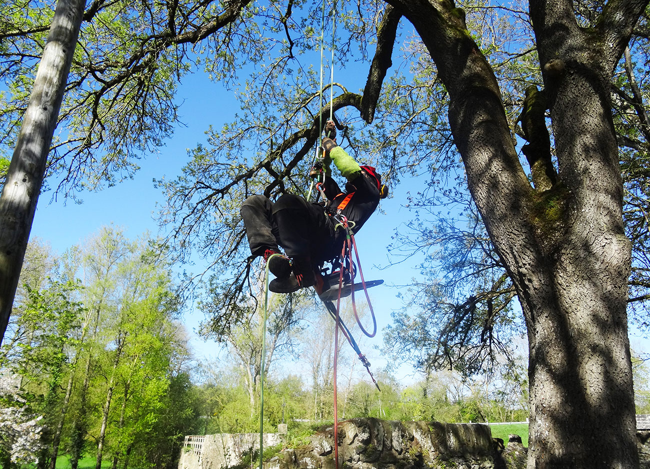 Foot lock à Mozé sur Louet